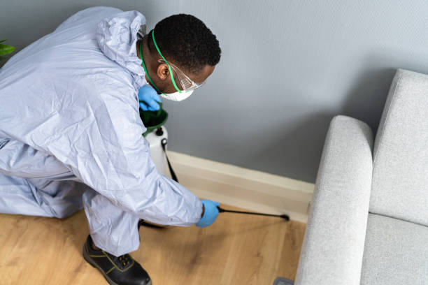 Best Residential Pest Control  in Uniondale, NY